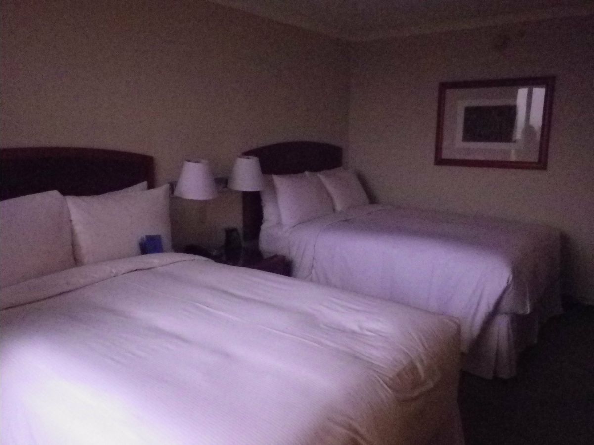 Hilton Hotel Colon02